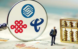 提速降費(fèi)政策下，廣東省基礎(chǔ)電信業(yè)務(wù)的創(chuàng)新應(yīng)對(duì)策略