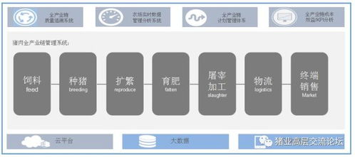 互聯網養豬 當物聯網讓豬“說話”變自動飼喂，一場靜悄悄的革命在豬圈里爆發